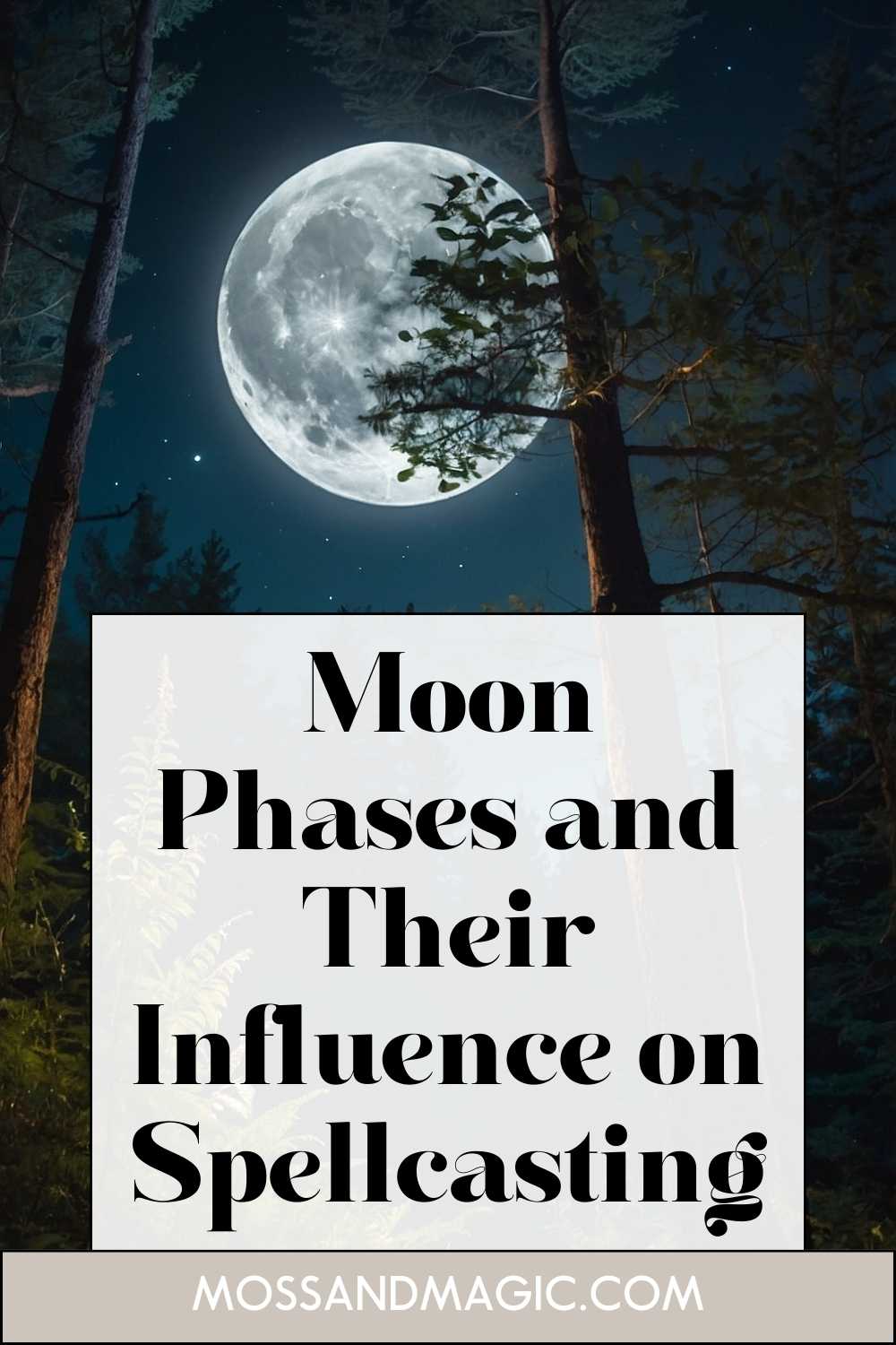 Moon Phases and Their Influence on Spellcasting – Moss & Magic