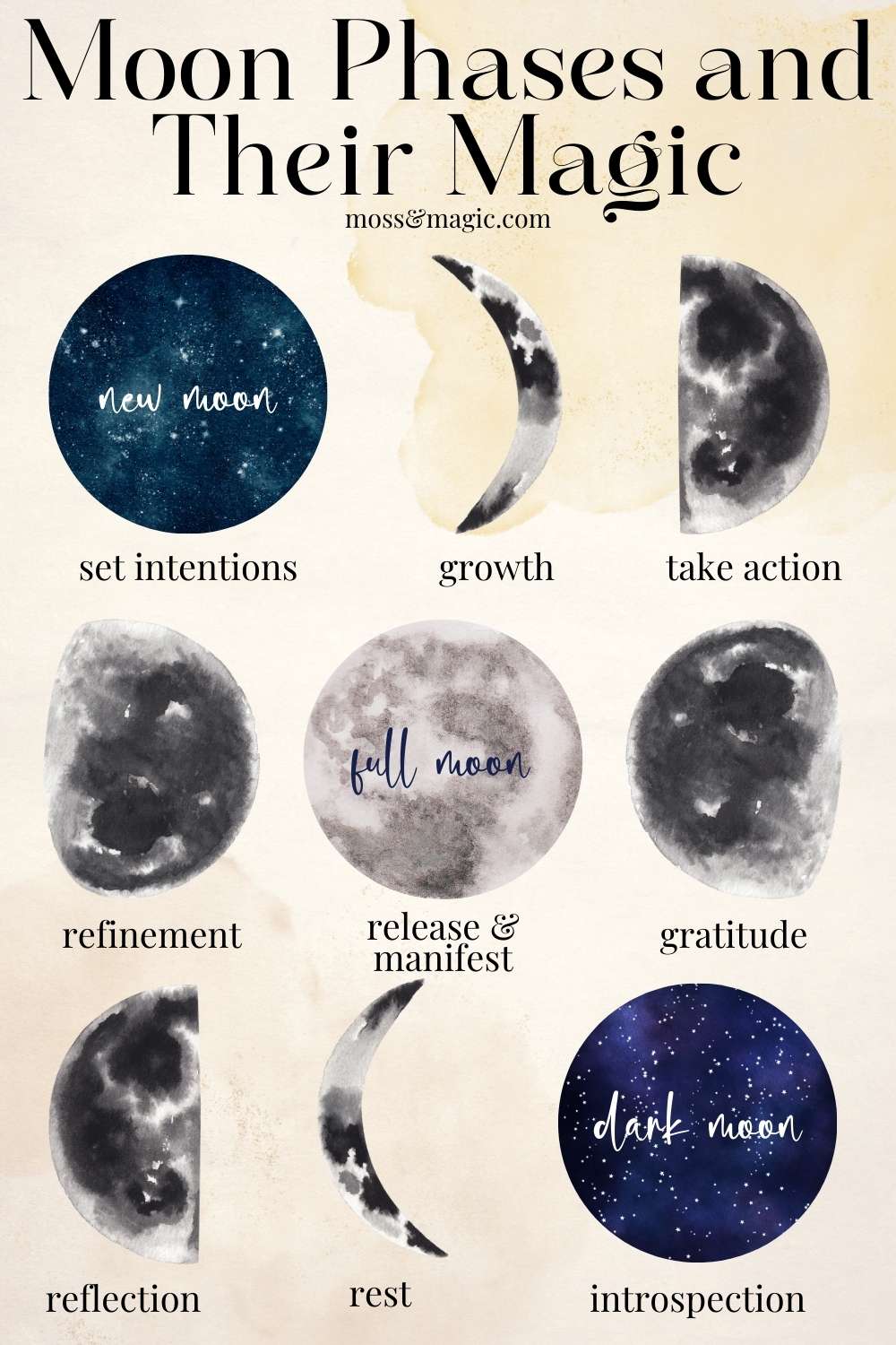 Moon Phases and Their Magic Moss & Magic